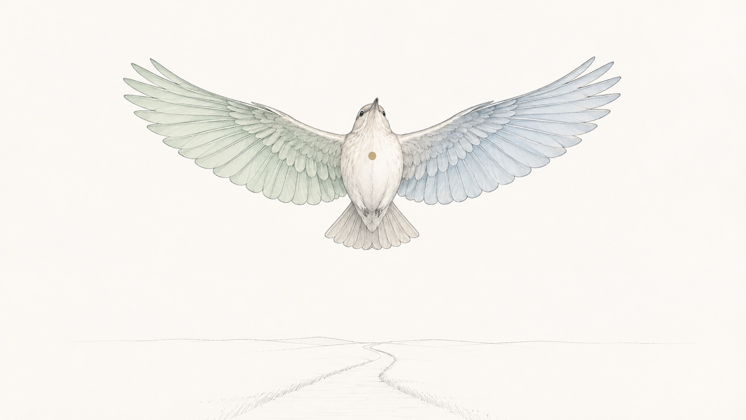 温かい白の地に、細いペンで描かれた一羽の鳥が、左右の翼を大きく広げて飛んでいる。片方の翼は淡い緑、もう片方は淡い青で、胸もとに小さな金の点がある。下には細い道が遠くへ続いている。